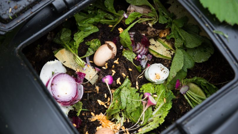 Compost Bin Closed Lid Food Scraps