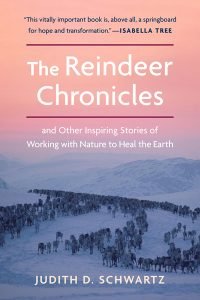 reindeer chronicles cover