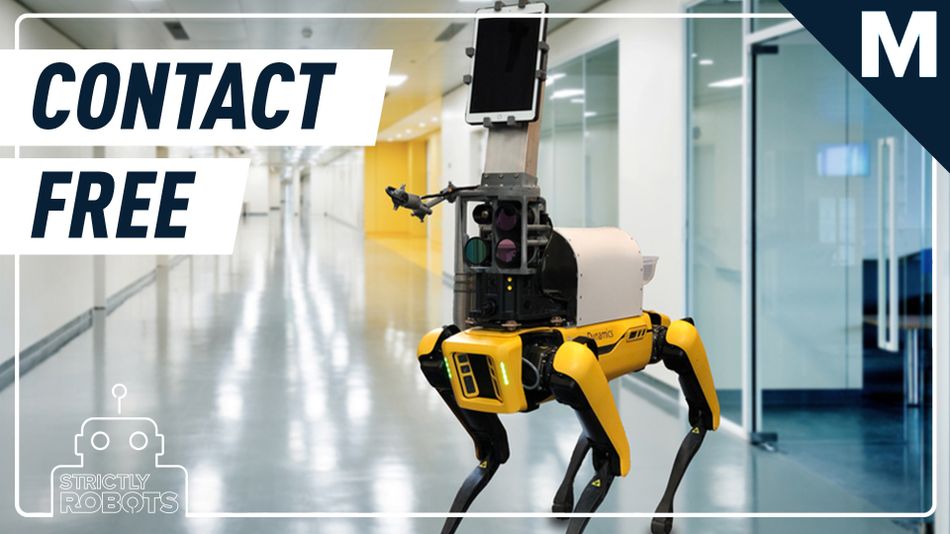 A dog-like robot named Spot can take your vital signs totally contact-free – Strictly Robots
