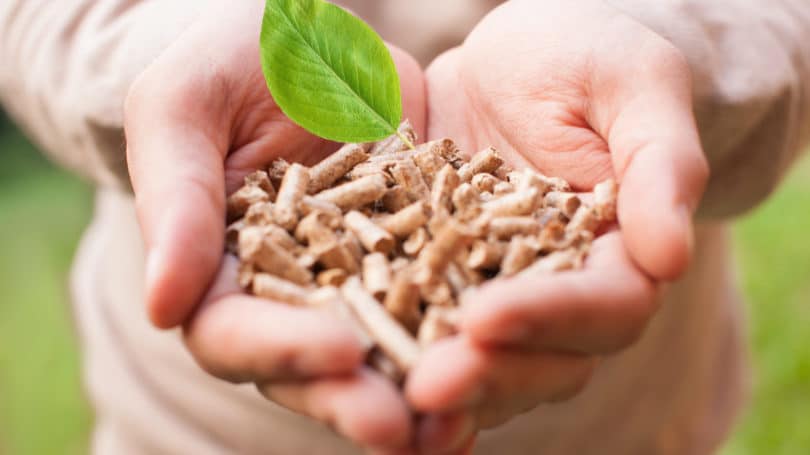 Install Biomass Stoves