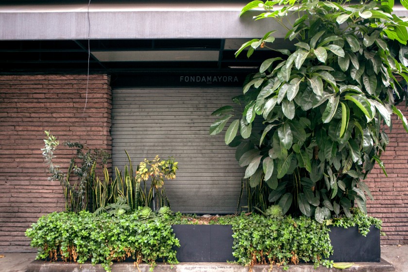 Mexico City restaurant Fonda Mayor was forced to close because of the pandemic