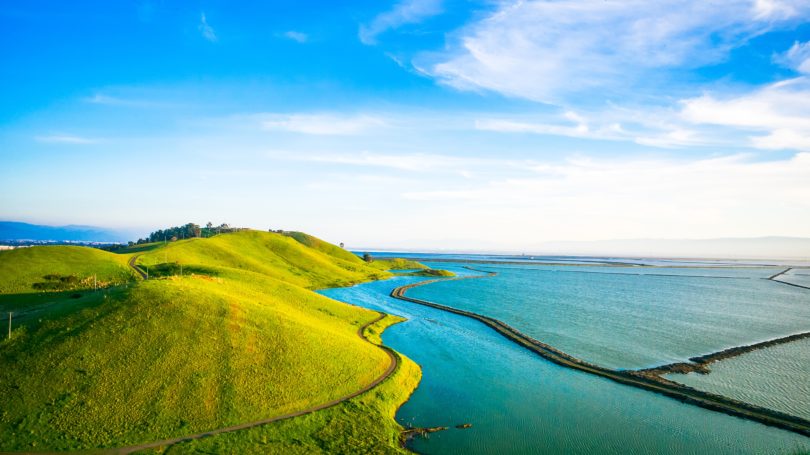 Fremont California Coyote Hills Regional National Park