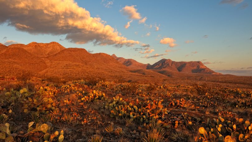 El Paso Texas Desert Mountains Sunrise Rocky