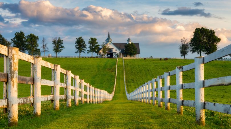 Lexington Kentucky Horse Farm Blue Grass