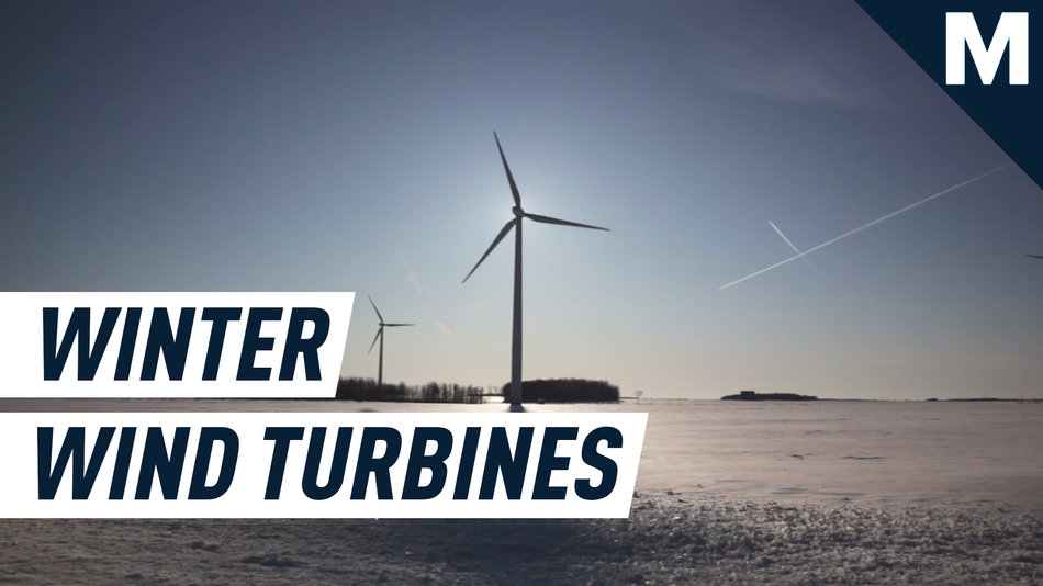 Yes, wind turbines can totally thrive in the cold. Including Antarctica.