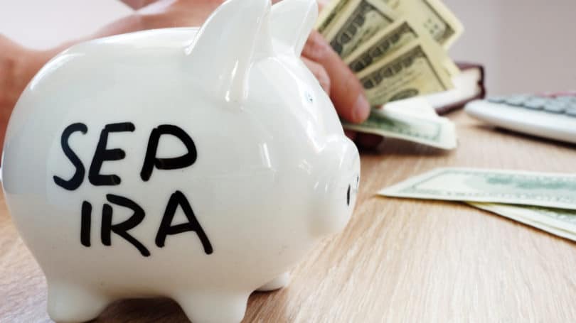 Sep Ira Piggy Bank Cash